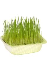 Quik Kedi Çimi Fileli