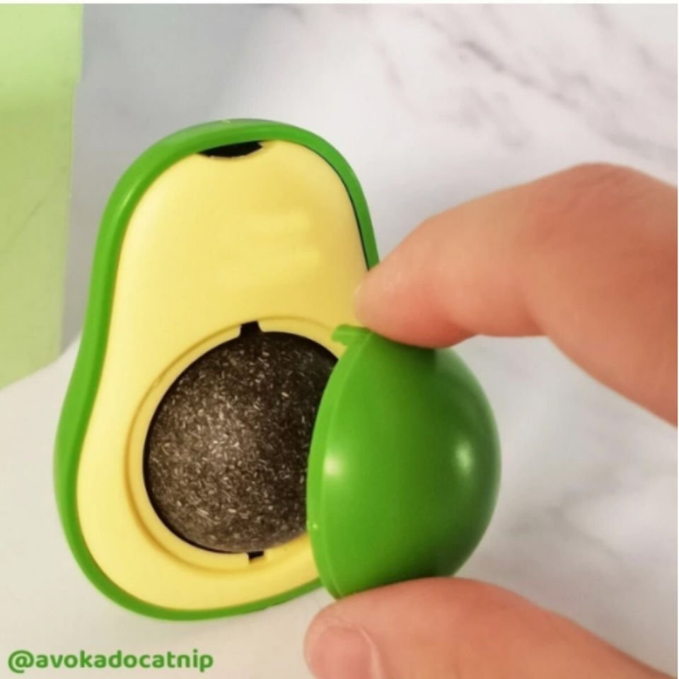 Avokado Catnip Avokado Kedi Çimi Topu Avokado Kedi Nanesi Oyuncağı