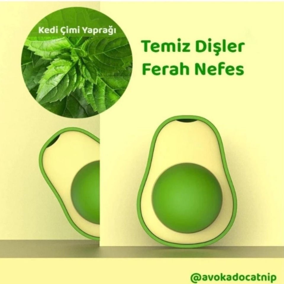 Avokado Catnip Avokado Kedi Çimi Topu Avokado Kedi Nanesi Oyuncağı