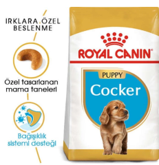 Royal Canin Yavru Cocker Özel Irk Kuru Mama 3 Kg