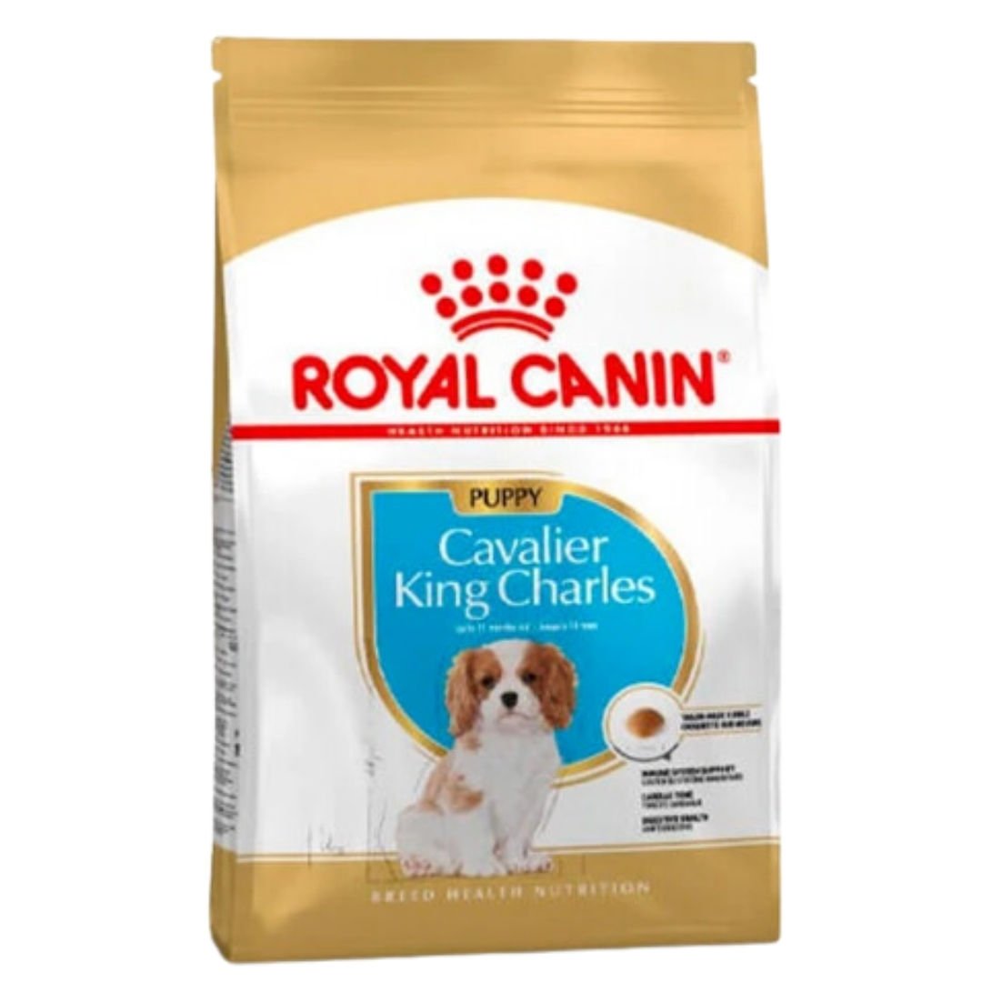 Royal Canin Puppy Cavalier King Charles Yavru Köpek Maması 1.5 Kg