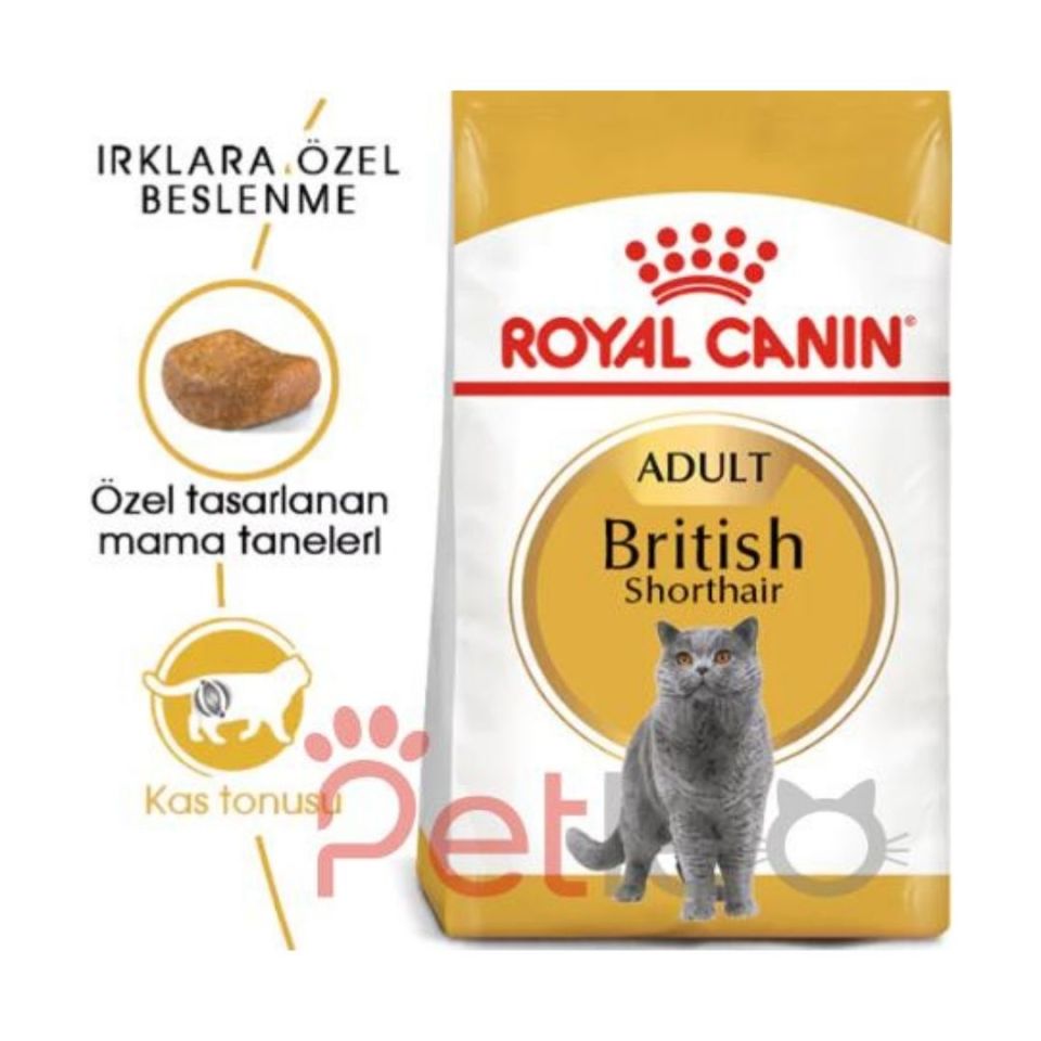 Royal Canin British Shorthair Yetişkin Kedi Maması 4Kg