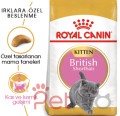 Royal Canin Kitten British Shorthair Yavru Kedi Maması 2kg