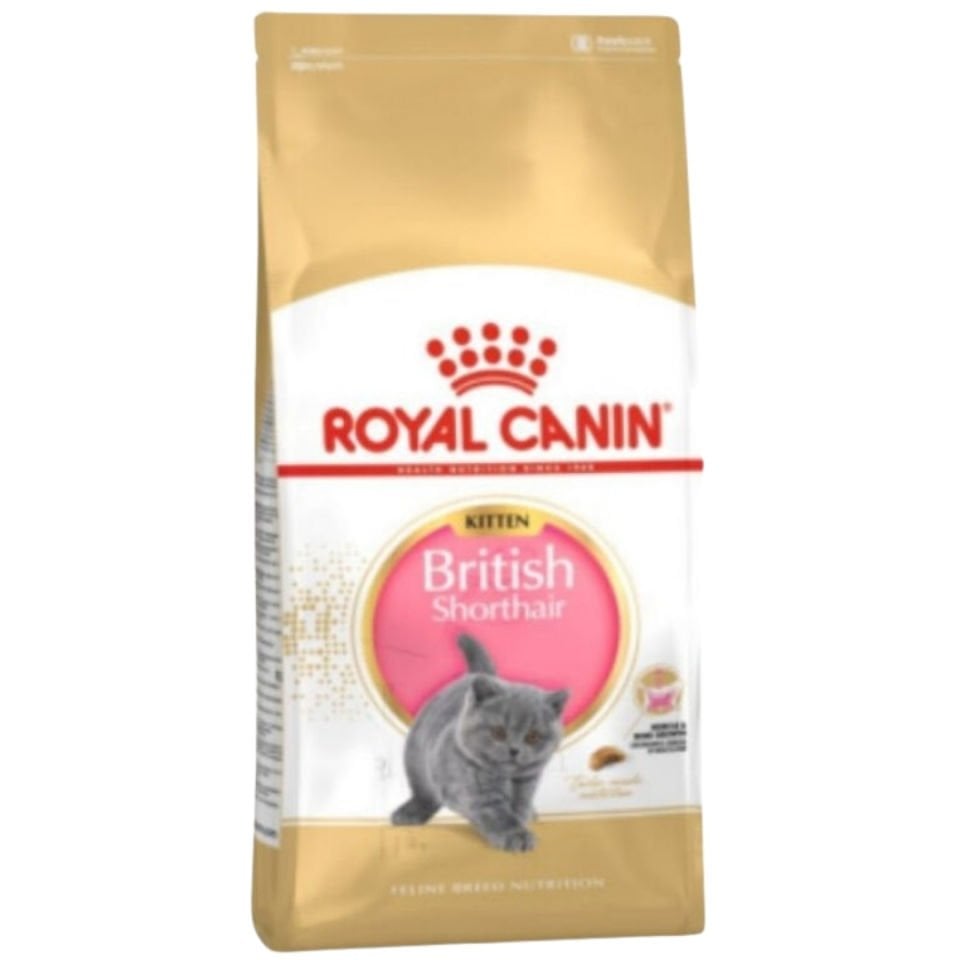 Royal Canin Kitten British Shorthair Yavru Kedi Maması 2kg