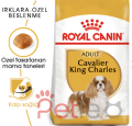 Royal Canin Cavalier King Charles 27 Yetişkin Köpek Maması 1,5kg